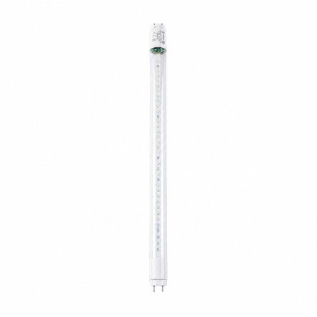 Focos LED UV
