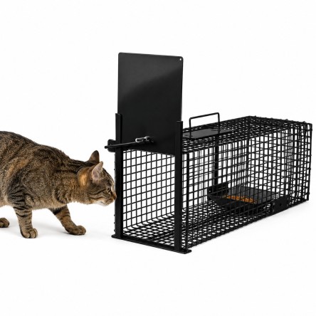 Jaula de Gatos
