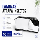 10 Láminas por $28+IVA