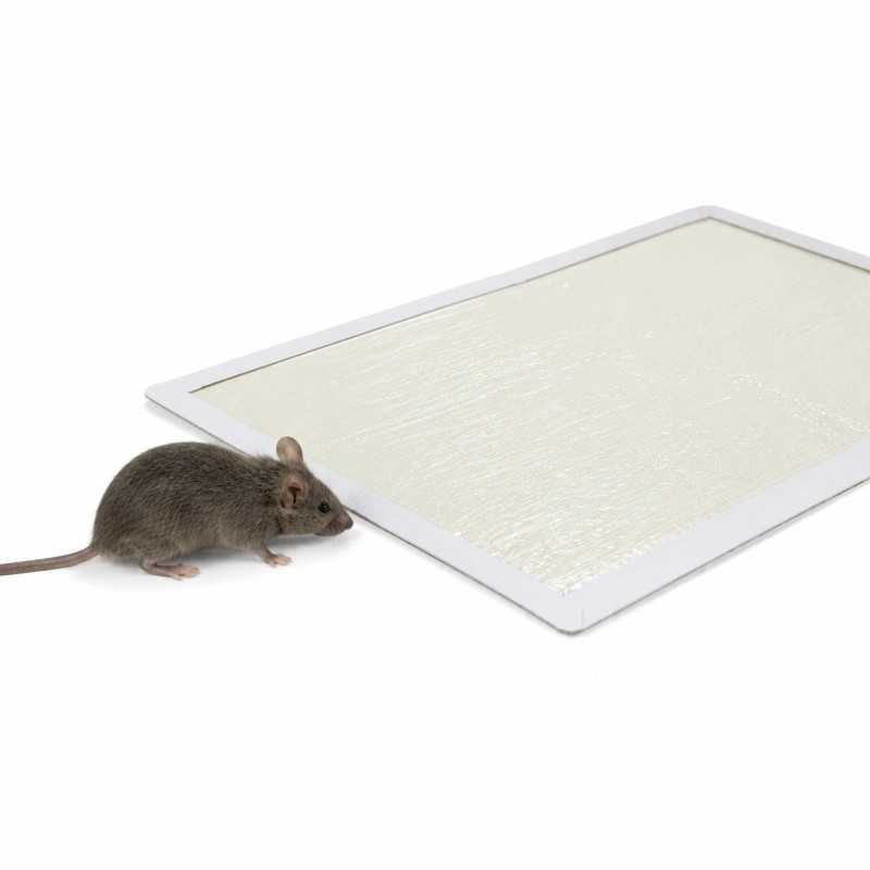 20 Láminas Adhesivas a $25
