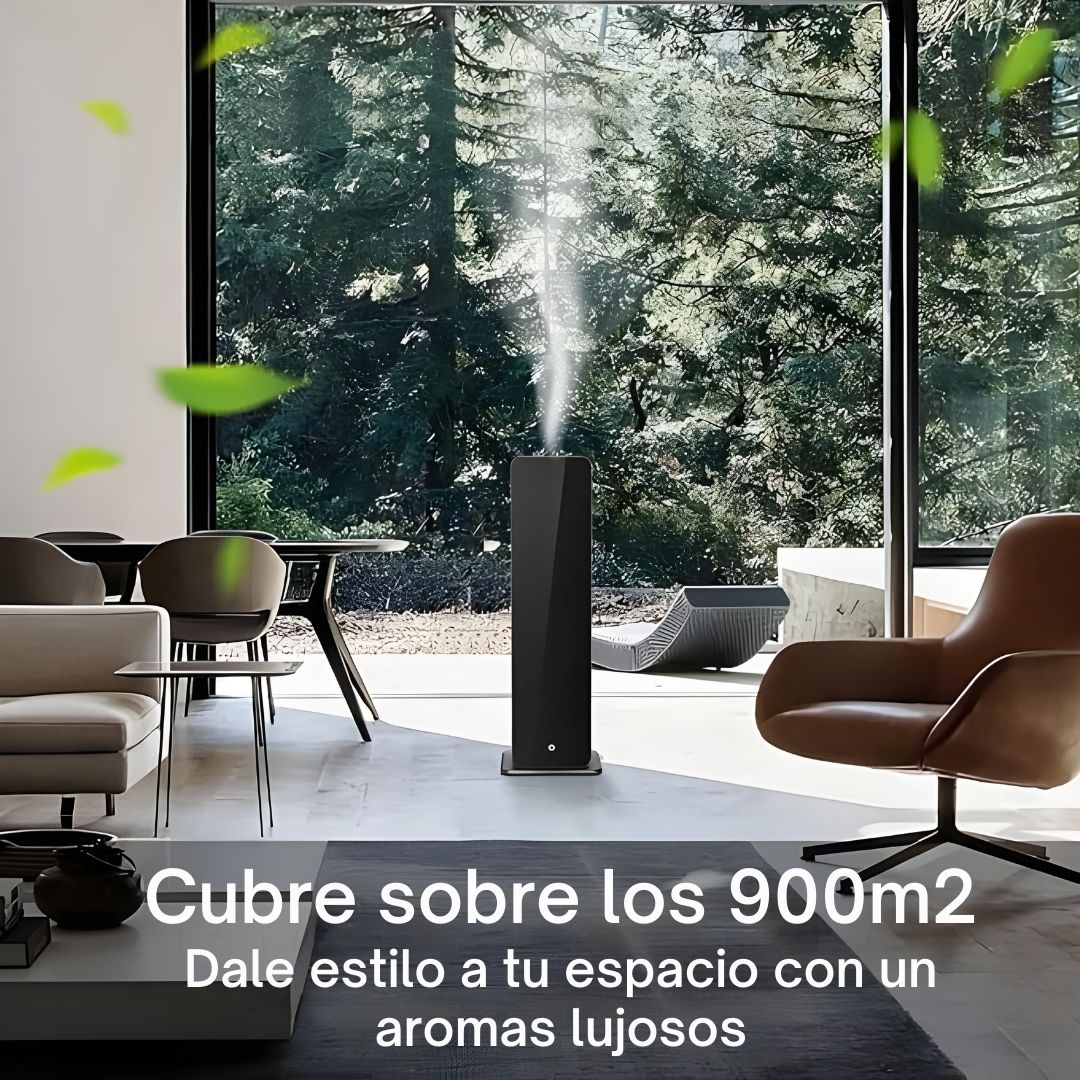 Imagen-de-WhatsApp-2024-08-28-a-las-17.31.27_4d8d3d4c